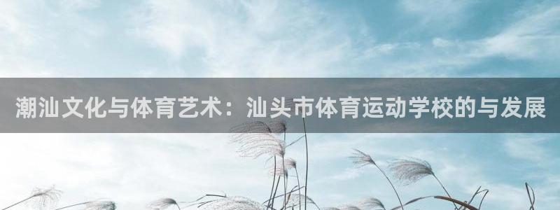 betway体育app：潮汕文化与体育艺术：汕头市体育运动学校的与发展
