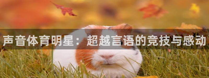 Betway立即登录：声音体育明星：超越言语的竞技与感动