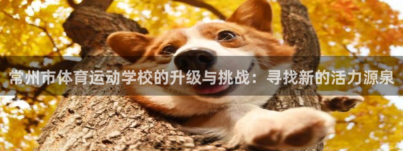 betway会员退款流程详解：常州市体育运动学校的升级与挑战：寻找新的活力源泉