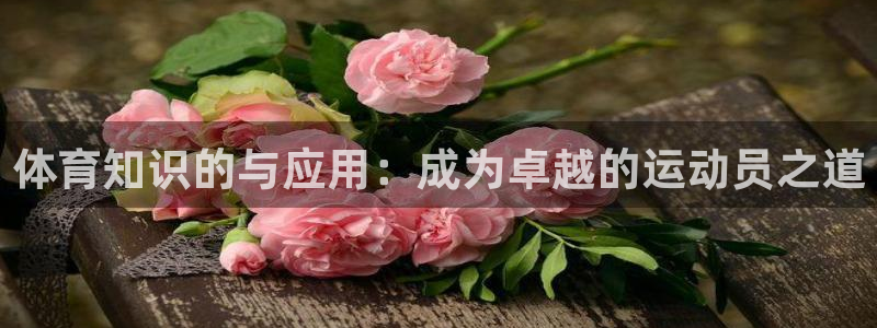 betway西汉姆联官方网站：体育知识的与应用：成为卓越的运动员之道