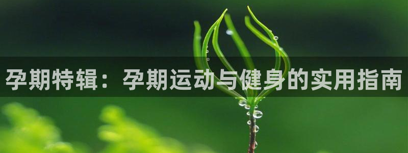 betway合法吗：孕期特辑：孕期运动与健身的实用指南